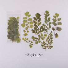 Lade das Bild in den Galerie-Viewer, Getrocknete Blumen Sticker für Dekorationen, Basteln und Bullet Journals - selley.de