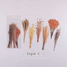 Lade das Bild in den Galerie-Viewer, Getrocknete Blumen Sticker für Dekorationen, Basteln und Bullet Journals - selley.de