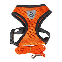 Lade das Bild in den Galerie-Viewer, Geschirr und Leine für Hunde & Katzen - [product_type - selley.de