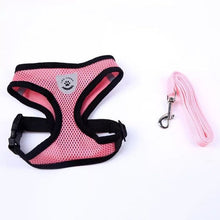 Lade das Bild in den Galerie-Viewer, Geschirr und Leine für Hunde & Katzen - [product_type - selley.de