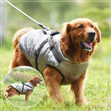 Lade das Bild in den Galerie-Viewer, Jacke & Geschirr für große Hunde - selley.de