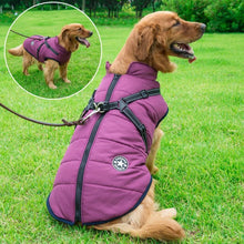 Lade das Bild in den Galerie-Viewer, Jacke & Geschirr für große Hunde - selley.de