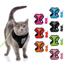 Lade das Bild in den Galerie-Viewer, Geschirr und Leine für Hunde & Katzen - [product_type - selley.de