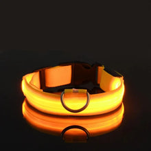 Lade das Bild in den Galerie-Viewer, LED Halsband | Leuchtend &amp; Sicher bei Nacht für ihren Liebling
