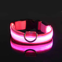 Lade das Bild in den Galerie-Viewer, LED Halsband | Leuchtend &amp; Sicher bei Nacht für ihren Liebling
