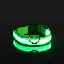 Lade das Bild in den Galerie-Viewer, LED Halsband | Leuchtend &amp; Sicher bei Nacht für ihren Liebling
