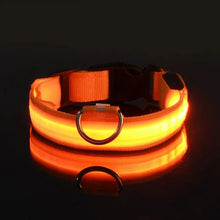 Lade das Bild in den Galerie-Viewer, LED Halsband | Leuchtend &amp; Sicher bei Nacht für ihren Liebling
