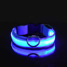 Lade das Bild in den Galerie-Viewer, LED Halsband | Leuchtend &amp; Sicher bei Nacht für ihren Liebling

