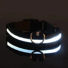 Lade das Bild in den Galerie-Viewer, LED Halsband | Leuchtend &amp; Sicher bei Nacht für ihren Liebling
