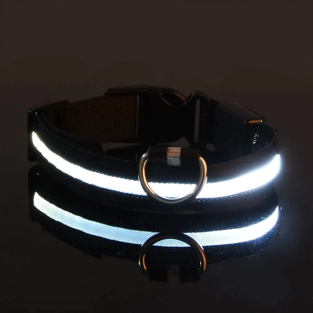 LED Halsband | Leuchtend & Sicher bei Nacht für ihren Liebling