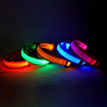 Lade das Bild in den Galerie-Viewer, LED Halsband | Leuchtend &amp; Sicher bei Nacht für ihren Liebling
