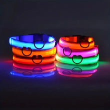 Lade das Bild in den Galerie-Viewer, LED Halsband | Leuchtend &amp; Sicher bei Nacht für ihren Liebling
