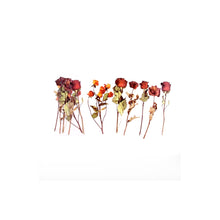 Lade das Bild in den Galerie-Viewer, Getrocknete Blumen Sticker für Dekorationen, Basteln und Bullet Journals
