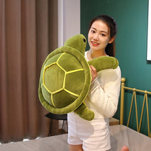 Lade das Bild in den Galerie-Viewer, XL Schildkröten Kuscheltier | Niedliche Schildkröten in verschiedenen Größen
