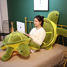 Lade das Bild in den Galerie-Viewer, XL Schildkröten Kuscheltier | Niedliche Schildkröten in verschiedenen Größen
