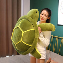 Lade das Bild in den Galerie-Viewer, XL Schildkröten Kuscheltier | Niedliche Schildkröten in verschiedenen Größen
