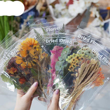 Lade das Bild in den Galerie-Viewer, Getrocknete Blumen Sticker für Dekorationen, Basteln und Bullet Journals
