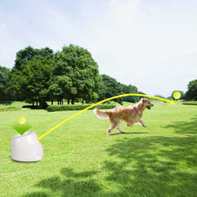 Lade das Bild in den Galerie-Viewer, Ballwurf Maschine für Spiele, Freizeit und Haustiere
