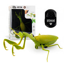 Lade das Bild in den Galerie-Viewer, Ferngesteuerte Insekten mit Fernbedienung und Infrarot Technik

