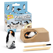 Lade das Bild in den Galerie-Viewer, DIY Archäologie Set | Ausgrabungsset für Kinder
