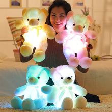 Lade das Bild in den Galerie-Viewer, Leuchtender Teddybär | Kuscheltier mit LED
